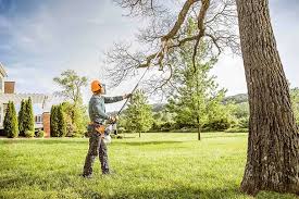 Trusted Chase, PA Tree Removal and Landscaping Services Experts